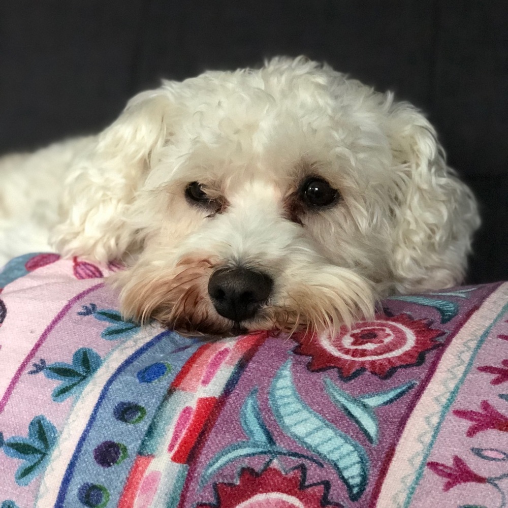 Meet your Posher, Anisha